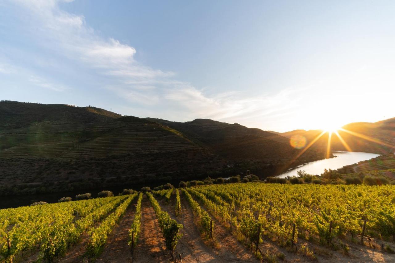 Quinta De S. Jose - Turismo Rural Ervedosa do Douro Eksteriør bilde