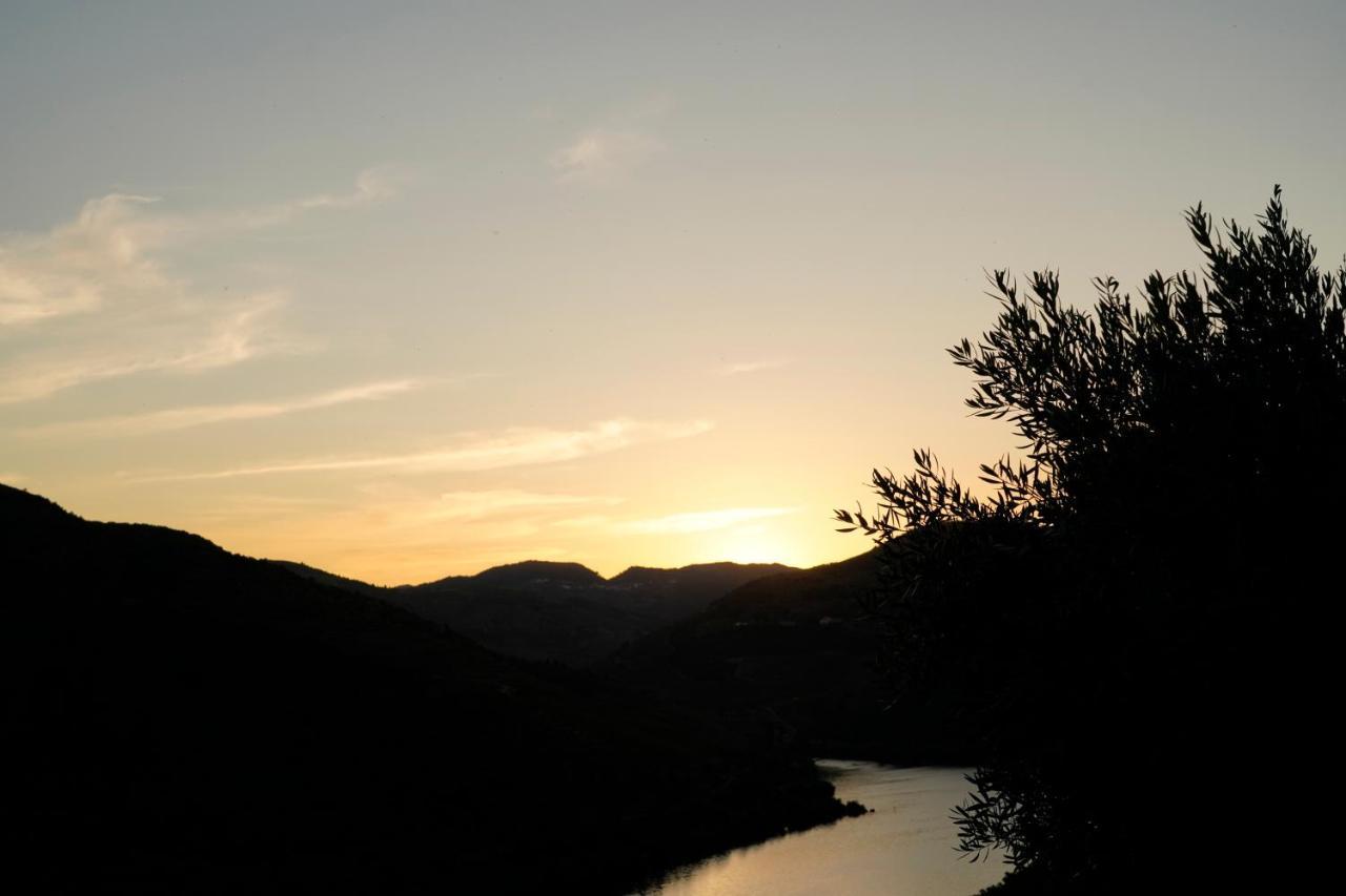 Quinta De S. Jose - Turismo Rural Ervedosa do Douro Eksteriør bilde